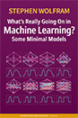 <!--03-->What's Really Going On in Machine Learning? Some Minimal Models